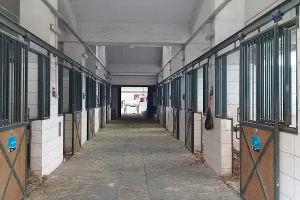 İstanbul Üniversitesi-Cerrahpaşa - Resim 9