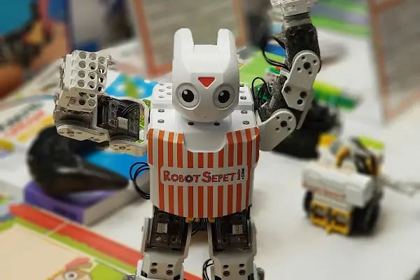 Robot Sepeti - Resim 1