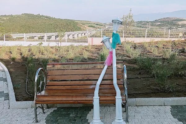 İzmit Belediyesi Lavanta Parkı ve Gülümse Kafe Lavanta - Resim 13