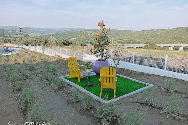 İzmit Belediyesi Lavanta Parkı ve Gülümse Kafe Lavanta - Resim 3