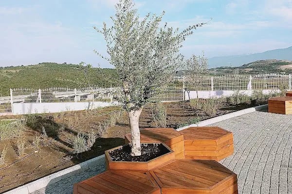 İzmit Belediyesi Lavanta Parkı ve Gülümse Kafe Lavanta - Resim 12