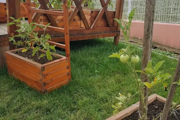İzmit Belediyesi Lavanta Parkı ve Gülümse Kafe Lavanta - Resim 16