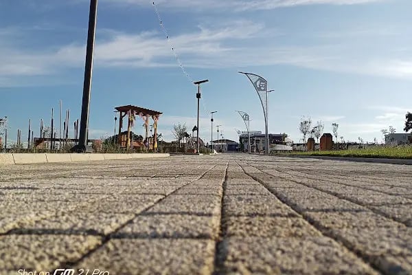 İzmit Belediyesi Lavanta Parkı ve Gülümse Kafe Lavanta - Resim 5
