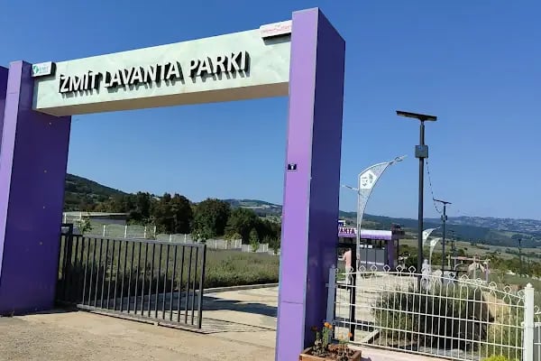 İzmit Belediyesi Lavanta Parkı ve Gülümse Kafe Lavanta - Resim 2