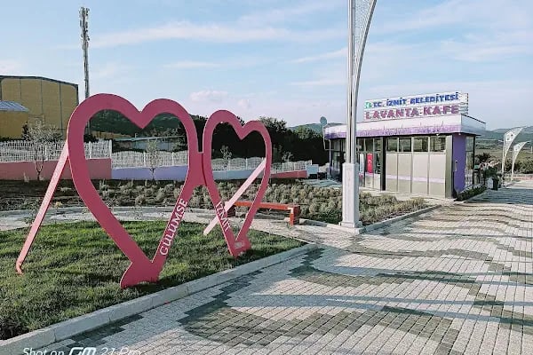 İzmit Belediyesi Lavanta Parkı ve Gülümse Kafe Lavanta - Resim 11