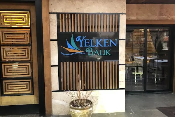 Yelken Balık - Resim 2