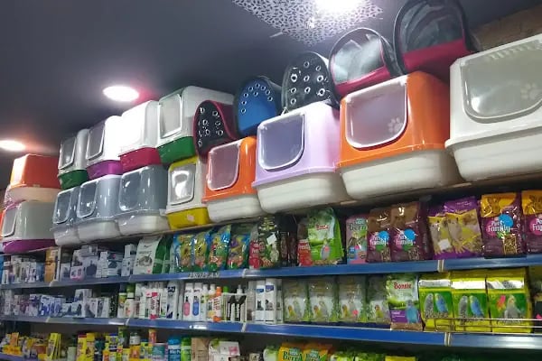 Petilya Pet Shop Ataşehir - Resim 5