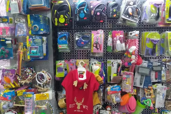 Petilya Pet Shop Ataşehir - Resim 12