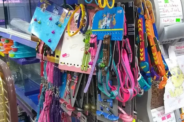 Petilya Pet Shop Ataşehir - Resim 20