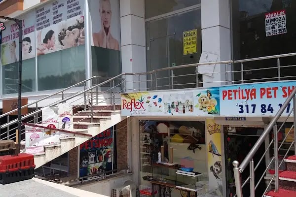 Petilya Pet Shop Ataşehir - Resim 7