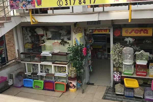 Petilya Pet Shop Ataşehir - Resim 10