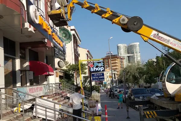 Petilya Pet Shop Ataşehir - Resim 18