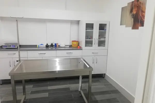 Alfa Veteriner Kliniği - Resim 12