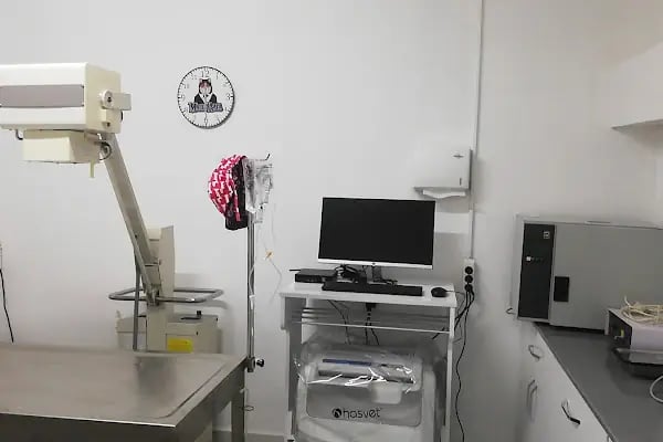Alfa Veteriner Kliniği - Resim 7