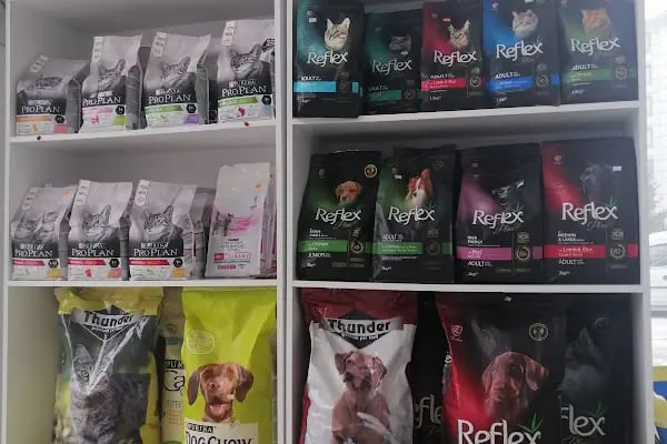 Alfa Veteriner Kliniği - Resim 16