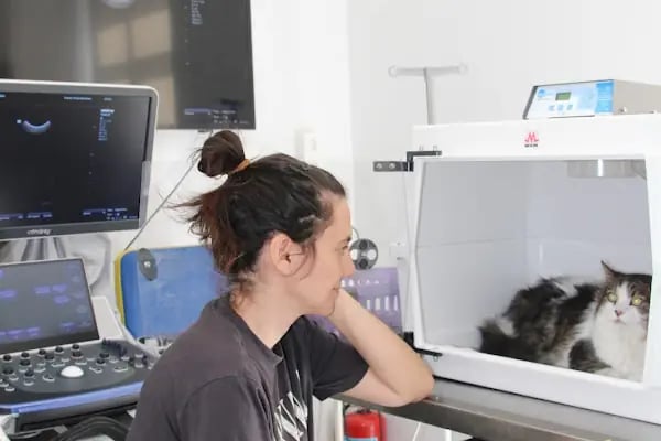 Akın Veteriner Kliniği - Resim 7