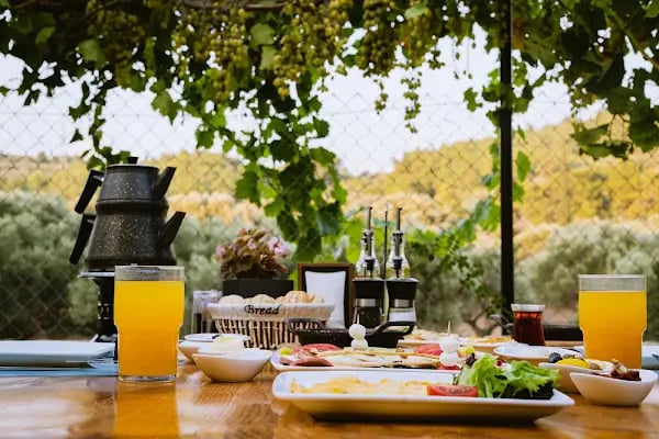 Pinoliva Garden Restaurant - Resim 3