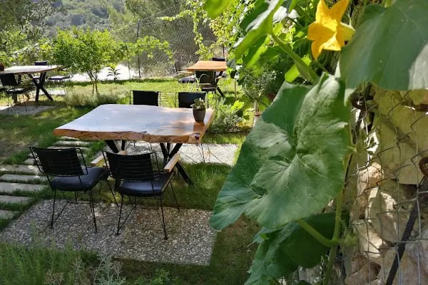 Pinoliva Garden Restaurant - Resim 5