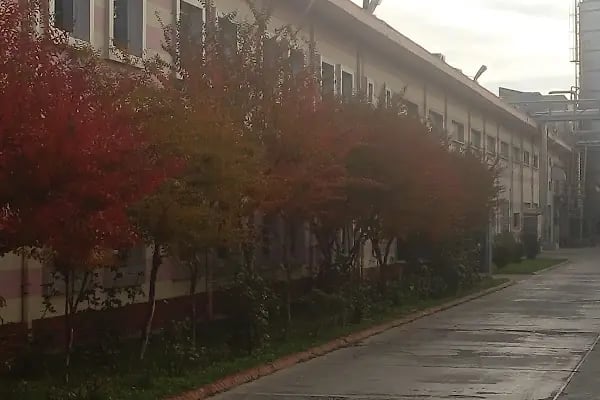 Pehlivanoğlu Kağıt - Resim 4