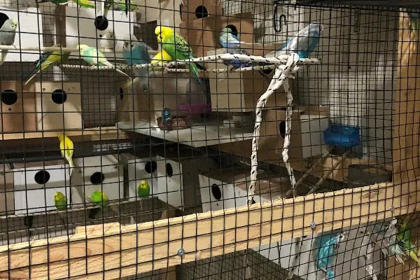 Selçuklu Petshop - Resim 2
