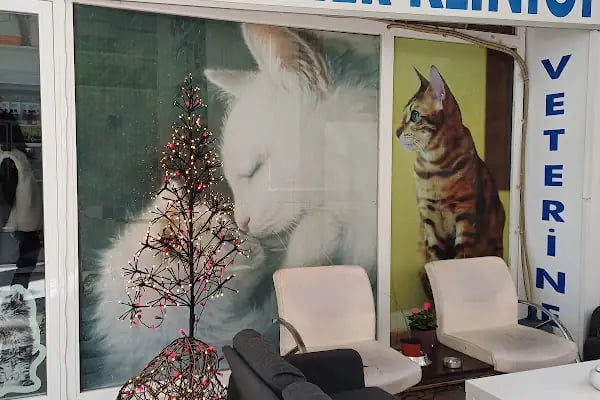 Aorta Veteriner Kliniği - Resim 9