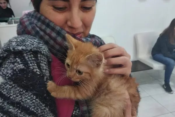Aorta Veteriner Kliniği - Resim 19