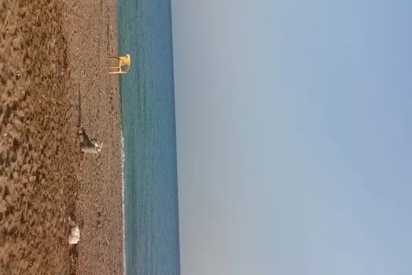 Denizkızı Cafe - Resim 10