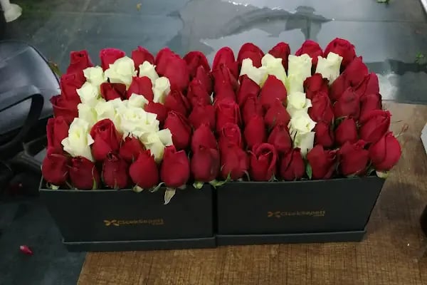 Botanik Çiçek - Resim 16