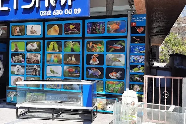 Mavi Petshop - Resim 7