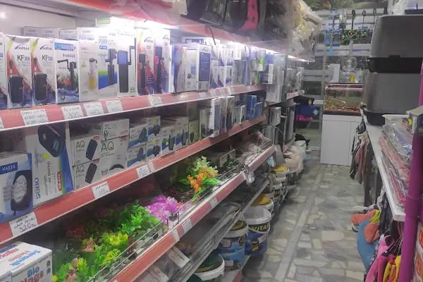Mavi Petshop - Resim 3