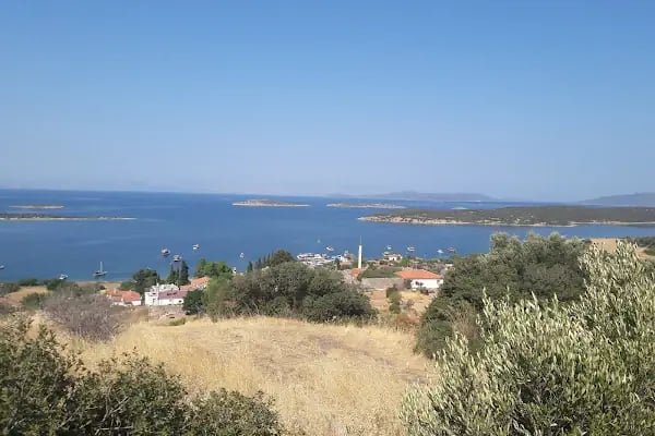 Tanay Tabiat Parkı - Resim 14