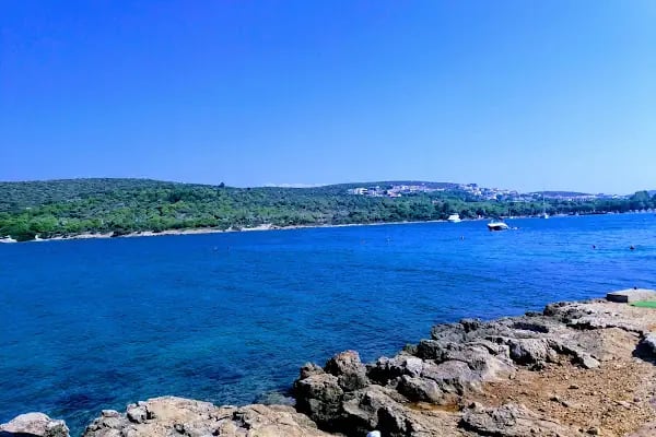 Tanay Tabiat Parkı - Resim 11