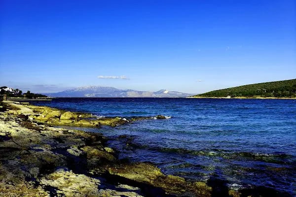 Tanay Tabiat Parkı - Resim 8