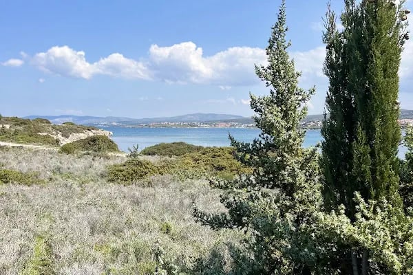 Tanay Tabiat Parkı - Resim 12