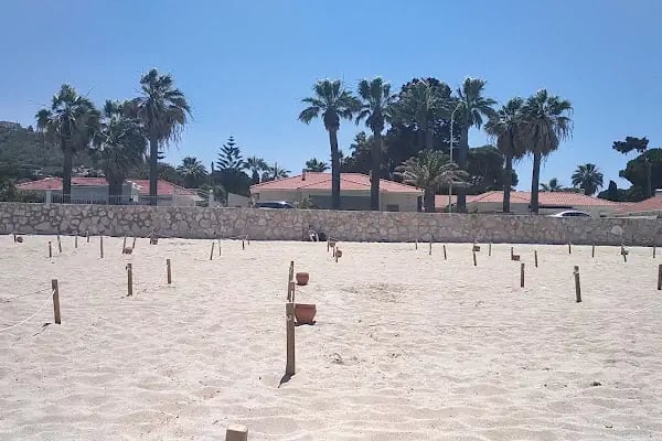 Tanay Tabiat Parkı - Resim 9