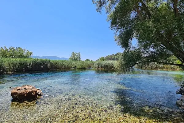 Akyaka Orfoz Restaurant - Resim 8