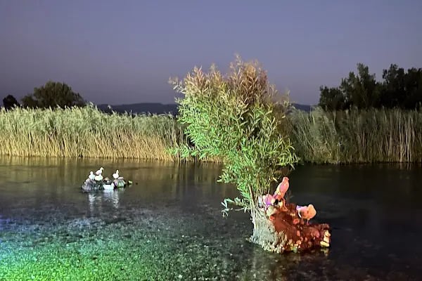 Akyaka Orfoz Restaurant - Resim 9
