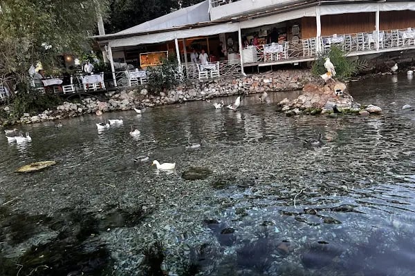 Akyaka Orfoz Restaurant - Resim 10