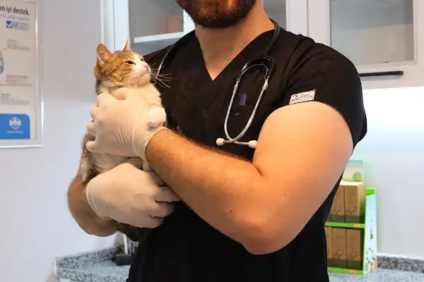 MS Veteriner Kliniği - Resim 6