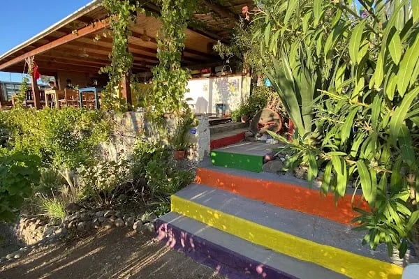 Nar Çiçeği Cafe Restaurant - Resim 19