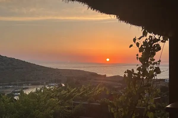 Nar Çiçeği Cafe Restaurant - Resim 8