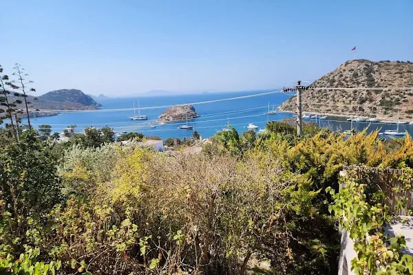 Nar Çiçeği Cafe Restaurant - Resim 5