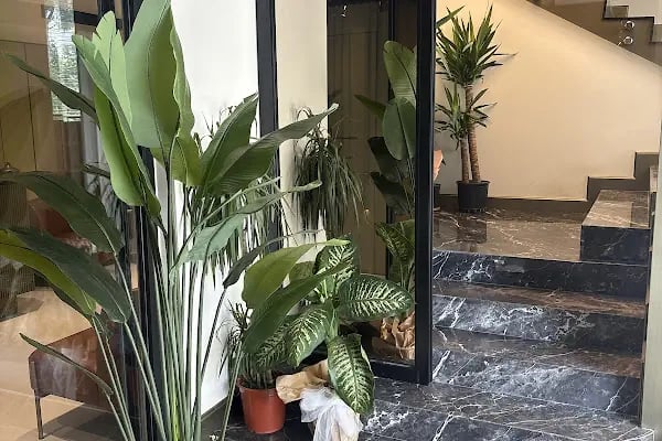 Nurselina'nın Çocuk Kliniği - Resim 2