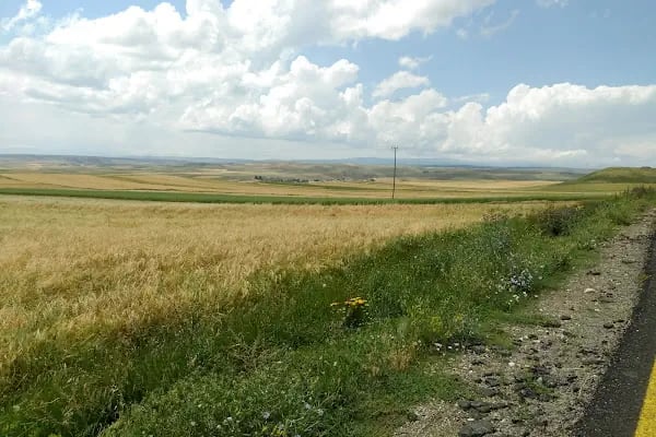 Küçükdurduran Köyü Muhtarlığı - Resim 4