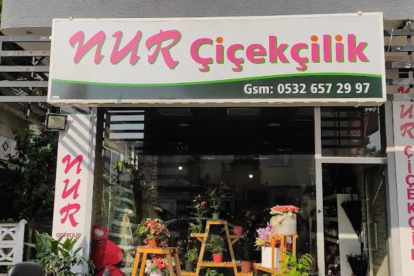 Mersin Çiçek - Resim 2
