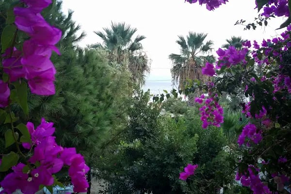 Sianji Well Being - Termal Resort &amp; Spa - Resim 11