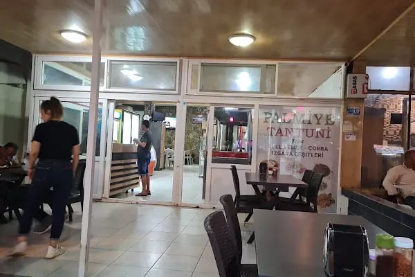 Palmiye Tantuni Aydıncık - Resim 19