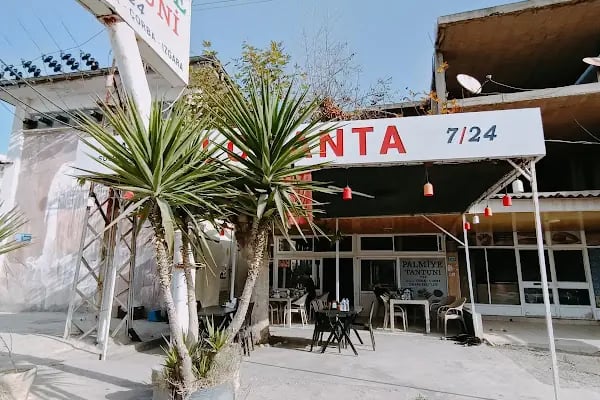 Palmiye Tantuni Aydıncık - Resim 5