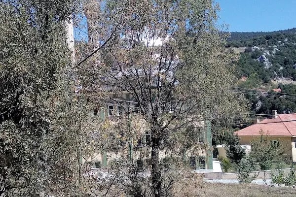 Termo Alcı Köyü - Resim 2