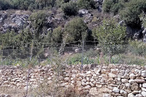 Termo Alcı Köyü - Resim 3